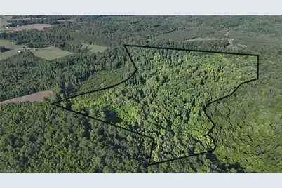 0 Nubbin Ridge Road, Reidsville, NC 27320 - Photo 4