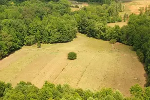 6620 Clyde King Rd, Seagrove, NC 27341 - Photo 38