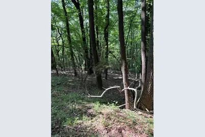 Lot 33 Jonathan Drive, Lowgap, NC 27024 - Photo 14