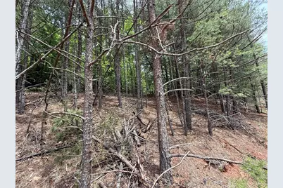 Lot 33 Jonathan Drive, Lowgap, NC 27024 - Photo 10