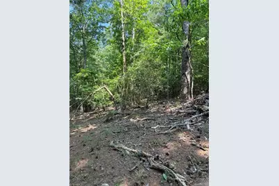 Lot 33 Jonathan Drive, Lowgap, NC 27024 - Photo 6