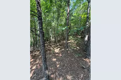 Lot 33 Jonathan Drive, Lowgap, NC 27024 - Photo 18