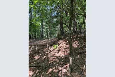 Lot 33 Jonathan Drive, Lowgap, NC 27024 - Photo 14