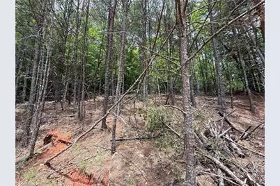 Lot 33 Jonathan Drive, Lowgap, NC 27024 - Photo 6