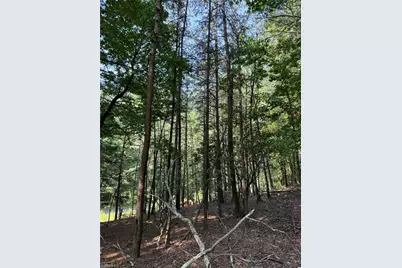 Lot 33 Jonathan Drive, Lowgap, NC 27024 - Photo 16