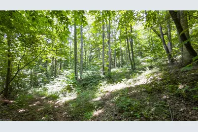 00 Hendren Road, Moravian Falls, NC 28654 - Photo 6