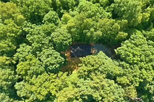 6041 Burlington Rd, Gibsonville, NC 27249 - Photo 8