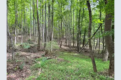 429 Wayne Marshall Road, Elkin, NC 28621 - Photo 14