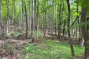 429 Wayne Marshall Rd, Elkin, NC 28621 - Photo 14