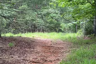 0 Old Lowgap Rd, Lowgap, NC 27024 - Photo 1