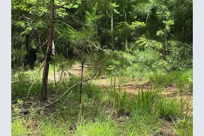 0 Old Lowgap Road, Lowgap, NC 27024 - Photo 6