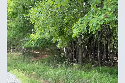 0 Old Lowgap Road, Lowgap, NC 27024 - Photo 10