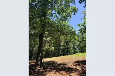 Lot 307 Miller Court, North Wilkesboro, NC 28659 - Photo 8
