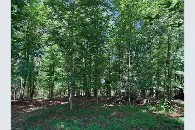 Lot 307 Miller Court, North Wilkesboro, NC 28659 - Photo 10