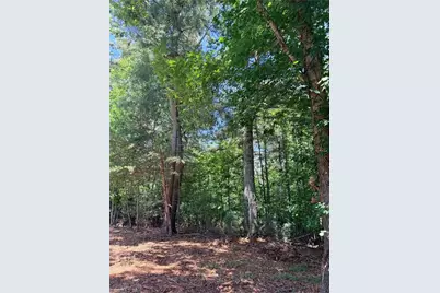 Lot 307 Miller Court, North Wilkesboro, NC 28659 - Photo 12