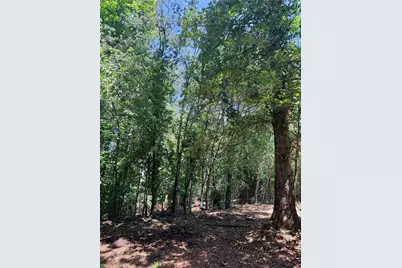 Lot 307 Miller Court, North Wilkesboro, NC 28659 - Photo 28
