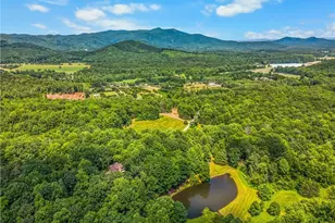 167 Jonathan Dr, Lowgap, NC 27024 - Photo 46