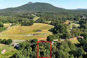 488 Shoals Rd, Pinnacle, NC 27043 - Photo 2