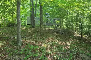 1055 Ed Booth Rd, Westfield, NC 27053 - Photo 12