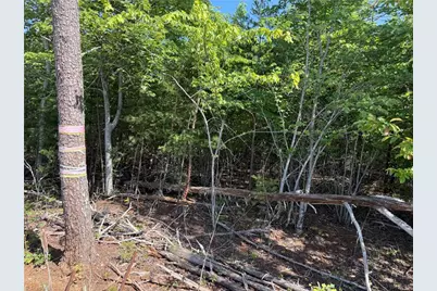 0-0-0 White Road, King, NC 27021 - Photo 8