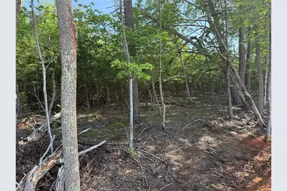 0-0-0 White Road, King, NC 27021 - Photo 8