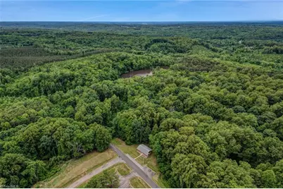 164 Tyre Dodson Road, Reidsville, NC 27320 - Photo 6