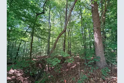 Lot 43 Cemetery Street, Ronda, NC 28670 - Photo 4
