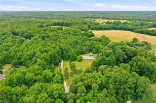 4124 Swannie Coble Rd, Snow Camp, NC 27349 - Photo 10