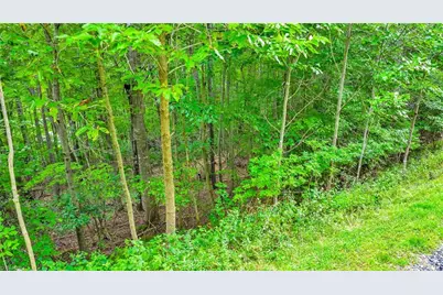 Tbd 2 Christmas Mtn Lane, Fleetwood, NC 28626 - Photo 12