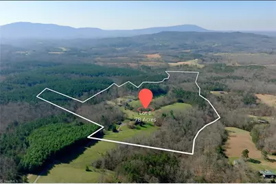 1019 George Road, Westfield, NC 27053 - Photo 6