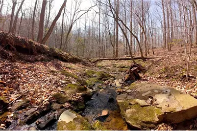 1019 George Road, Westfield, NC 27053 - Photo 20