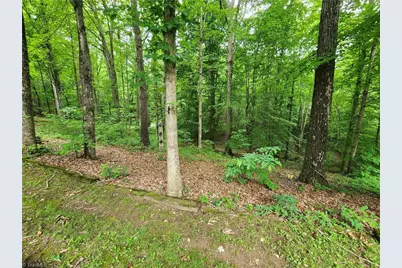 3634 Shoals Road, East Bend, NC 27018 - Photo 16