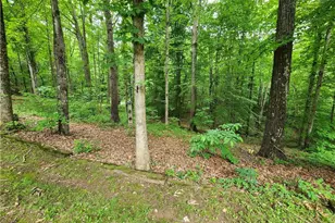 3634 Shoals Rd, East Bend, NC 27018 - Photo 16