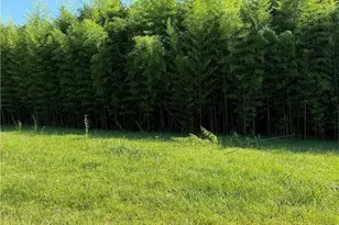 00 US Hwy 311, Sophia, NC 27350 - Photo 2