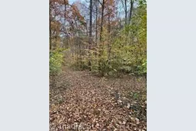 0 Aladdin Road, Pfafftown, NC 27040 - Photo 8