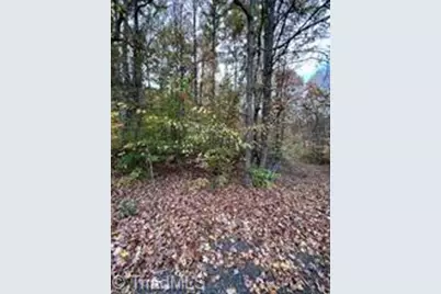0 Aladdin Road, Pfafftown, NC 27040 - Photo 18