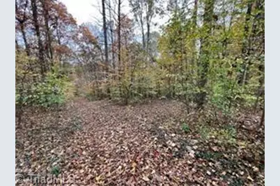 0 Aladdin Road, Pfafftown, NC 27040 - Photo 2
