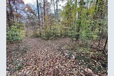 0 Aladdin Road, Pfafftown, NC 27040 - Photo 4