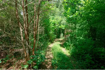1 Hinshaw Road, Yadkinville, NC 27055 - Photo 6
