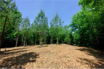 1 Hinshaw Road, Yadkinville, NC 27055 - Photo 4
