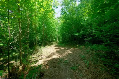1 Hinshaw Road, Yadkinville, NC 27055 - Photo 8