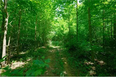 2 Hinshaw Road, Yadkinville, NC 27055 - Photo 6