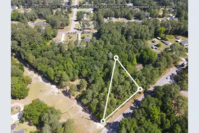 Tbd Cheraw Road, Hamlet, NC 28345 - Photo 2