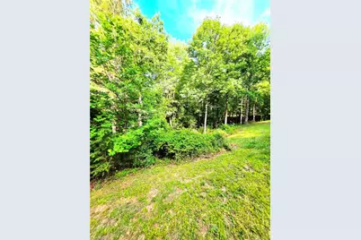 155 Blue Bird Hill Road, Millers Creek, NC 28651 - Photo 24