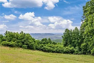 576 Lake Vista Dr, Glade Valley, NC 28627 - Photo 2