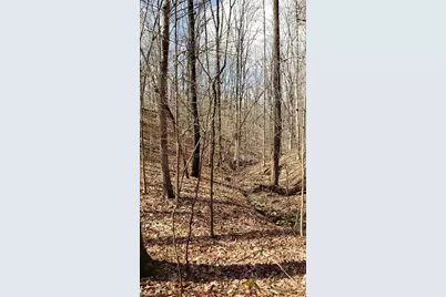 861 Calahaln Road, Mocksville, NC 27028 - Photo 12