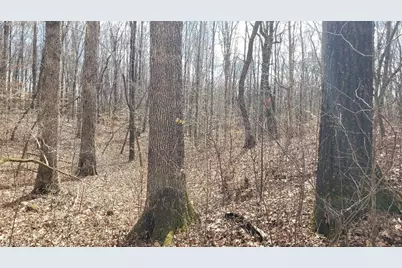 861 Calahaln Road, Mocksville, NC 27028 - Photo 10