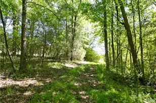 7875 Antioch Church Rd, Seagrove, NC 27341 - Photo 8