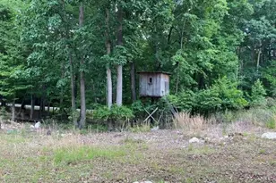 3915 Cedar Forest Rd, Franklinville, NC 27248 - Photo 10