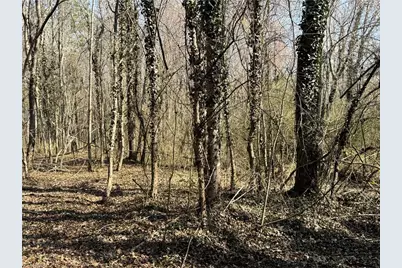 000 Barlow Court, King, NC 27021 - Photo 38